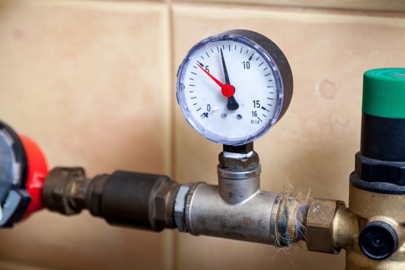 Mold Inspection And Removal Service