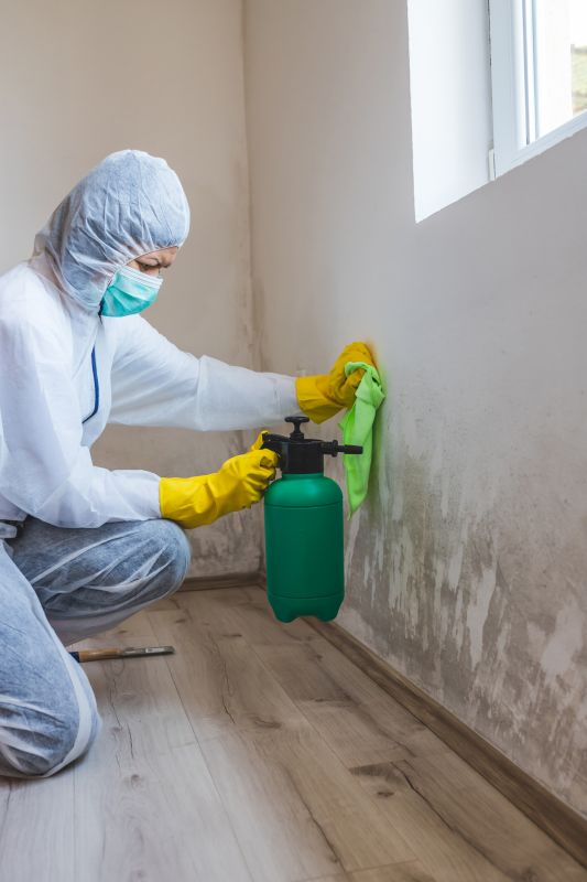 Mold Service