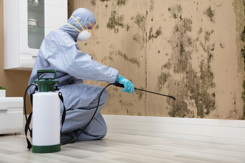 Mold Abatement Service detail